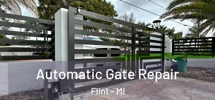  Automatic Gate Repair Flint - MI