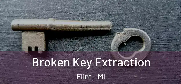 Broken Key Extraction Flint - MI
