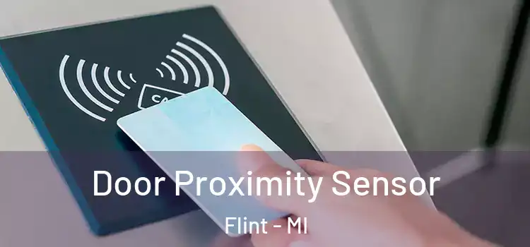  Door Proximity Sensor Flint - MI