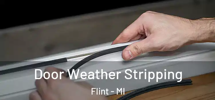 Door Weather Stripping Flint - MI