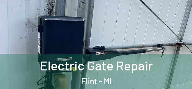 Electric Gate Repair Flint - MI