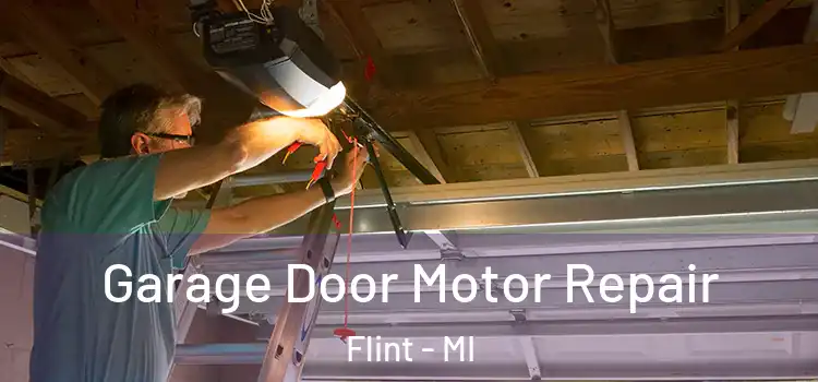  Garage Door Motor Repair Flint - MI