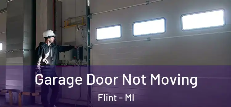  Garage Door Not Moving Flint - MI