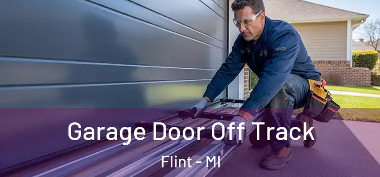 Garage Door Off Track Flint - MI