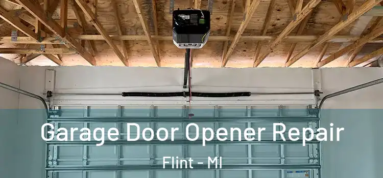 Garage Door Opener Repair Flint - MI