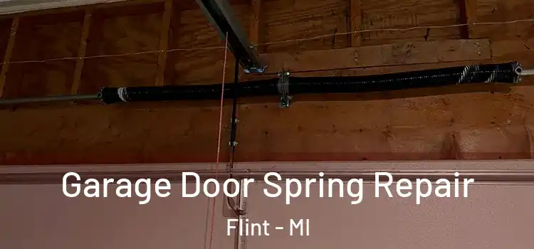  Garage Door Spring Repair Flint - MI