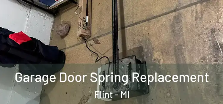  Garage Door Spring Replacement Flint - MI