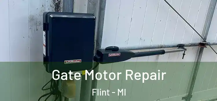 Gate Motor Repair Flint - MI