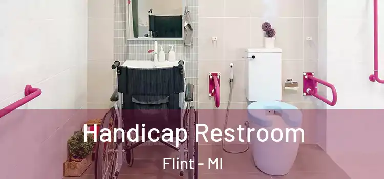  Handicap Restroom Flint - MI