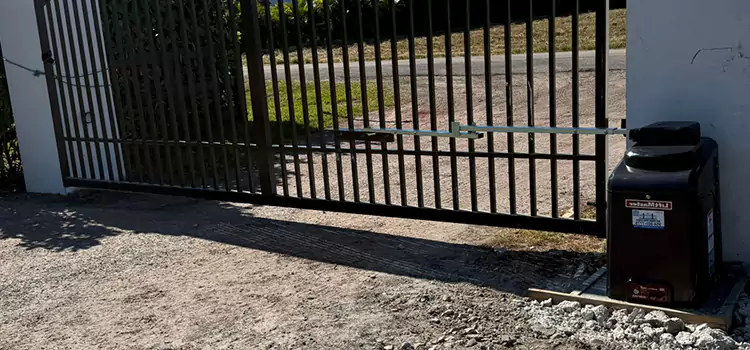 Solar Swing Gate Opener Flint