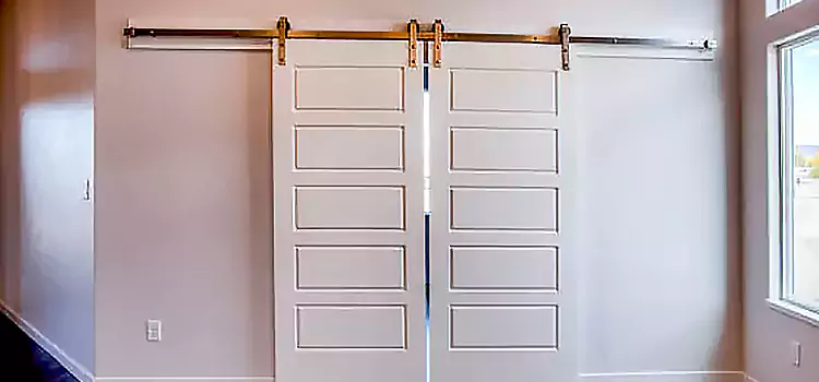 Glass Barn Door with Installation Hardware Kit Flint