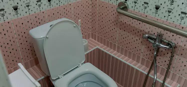 Meeting Diverse Needs With Accessible Restroom Solutions in Flint, MI