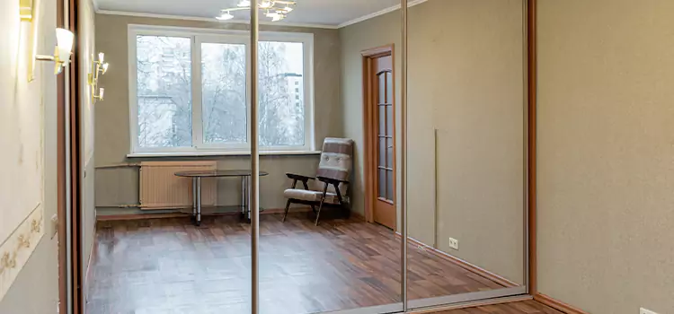 Mirror Closet Door Roller Replacement Flint
