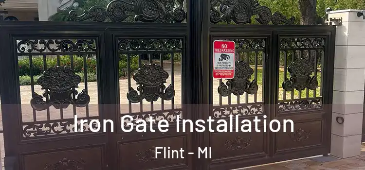 Iron Gate Installation Flint - MI