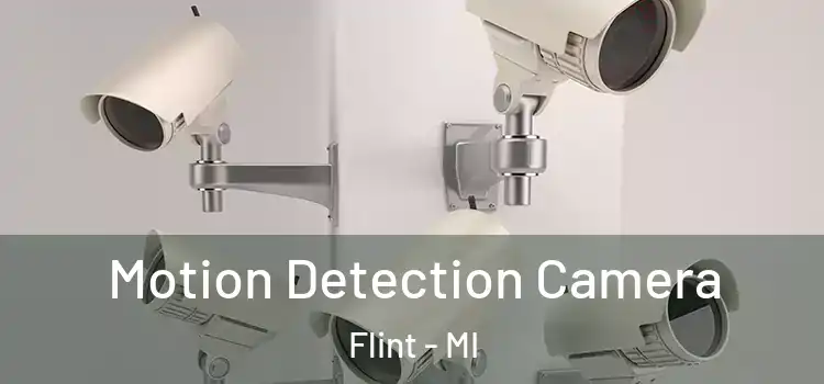  Motion Detection Camera Flint - MI