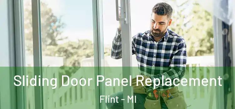  Sliding Door Panel Replacement Flint - MI