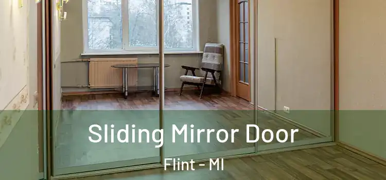  Sliding Mirror Door Flint - MI