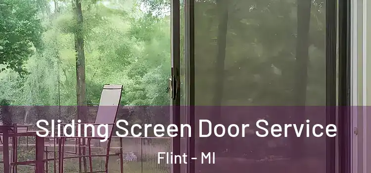 Sliding Screen Door Service Flint - MI